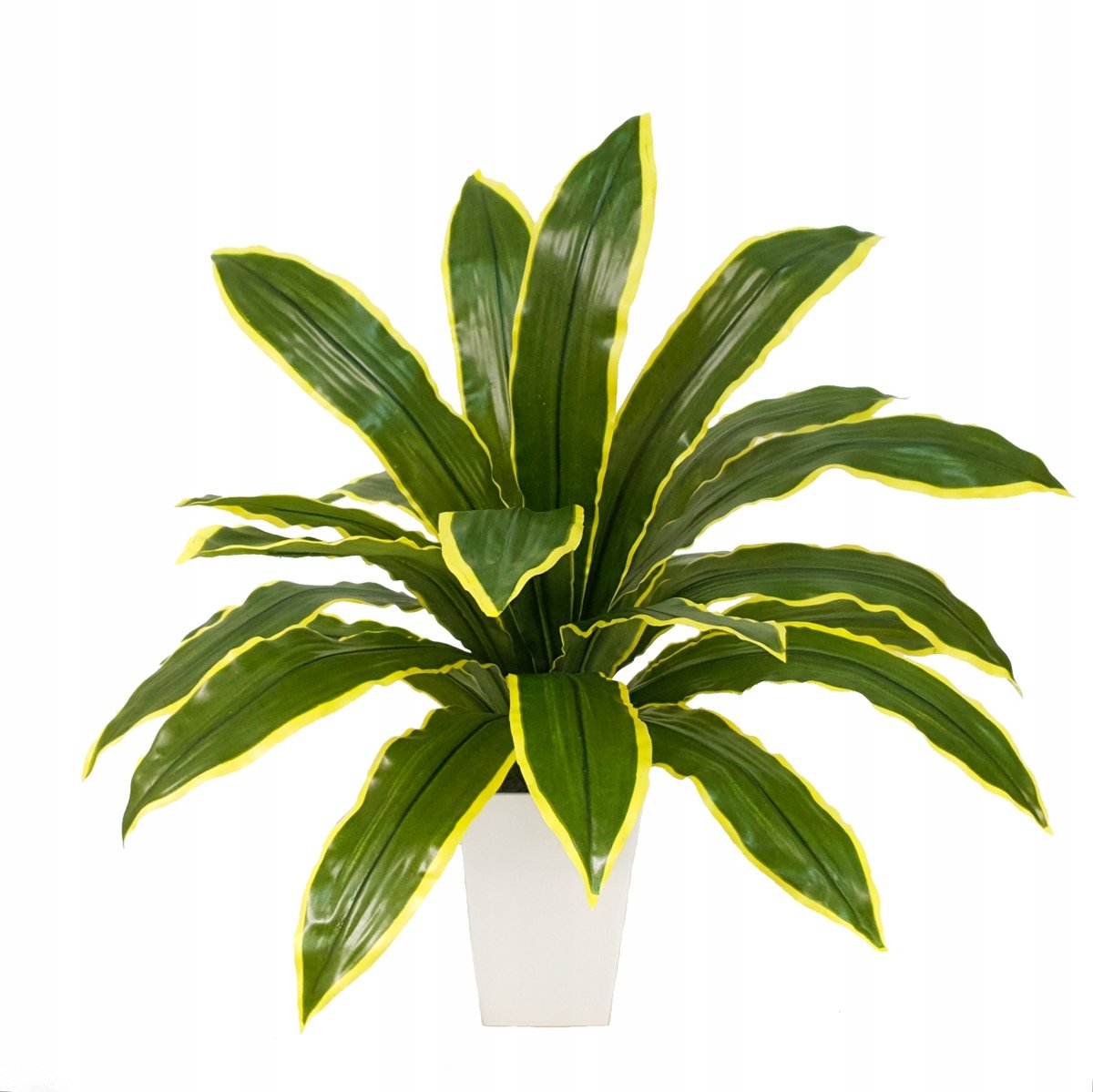 Sztuczna Wysoka Dracena Rolina w Doniczce Juka 60 cm - Inna marka | Sklep  EMPIK.COM