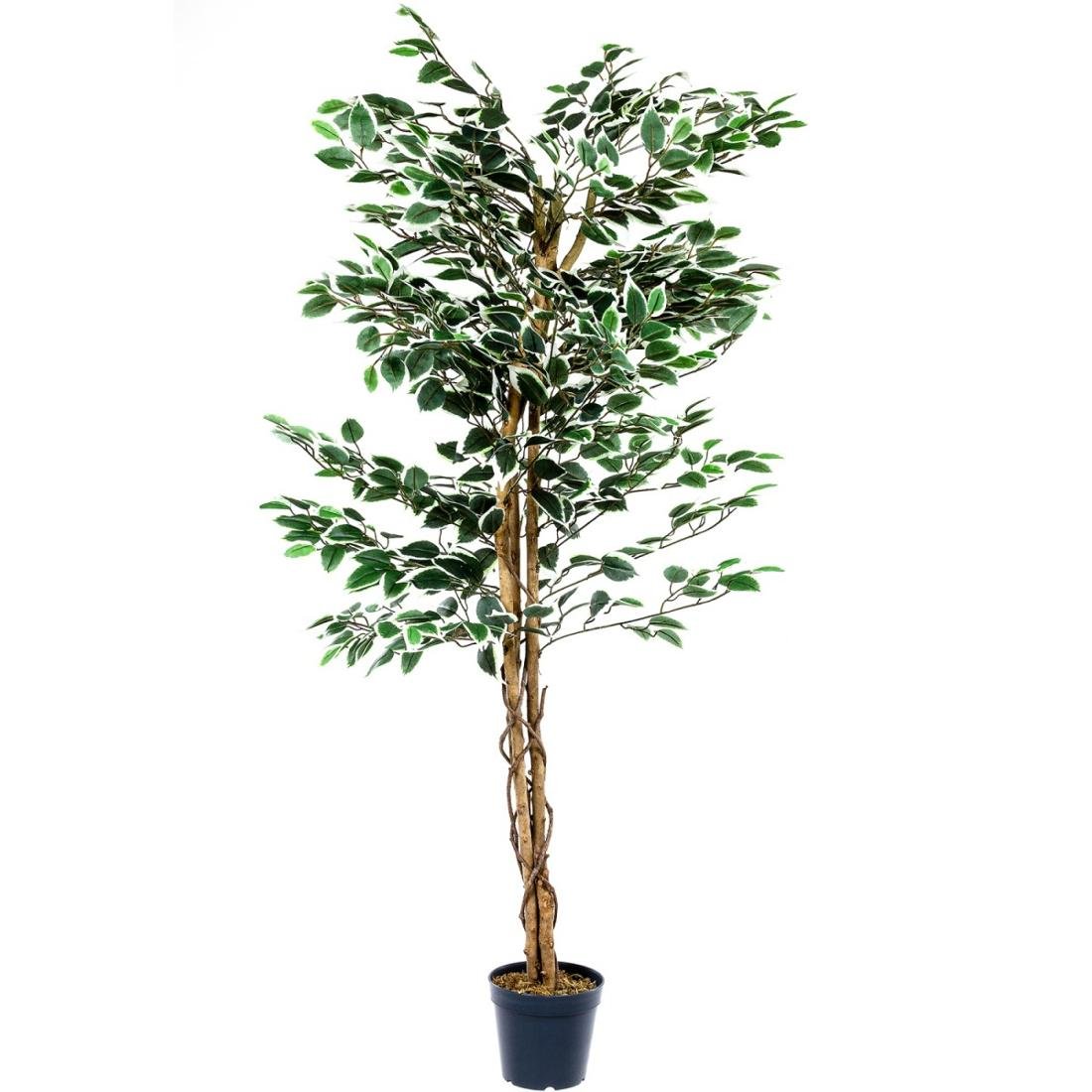 Sztuczne drzewko Fikus, zielone, 160 cm