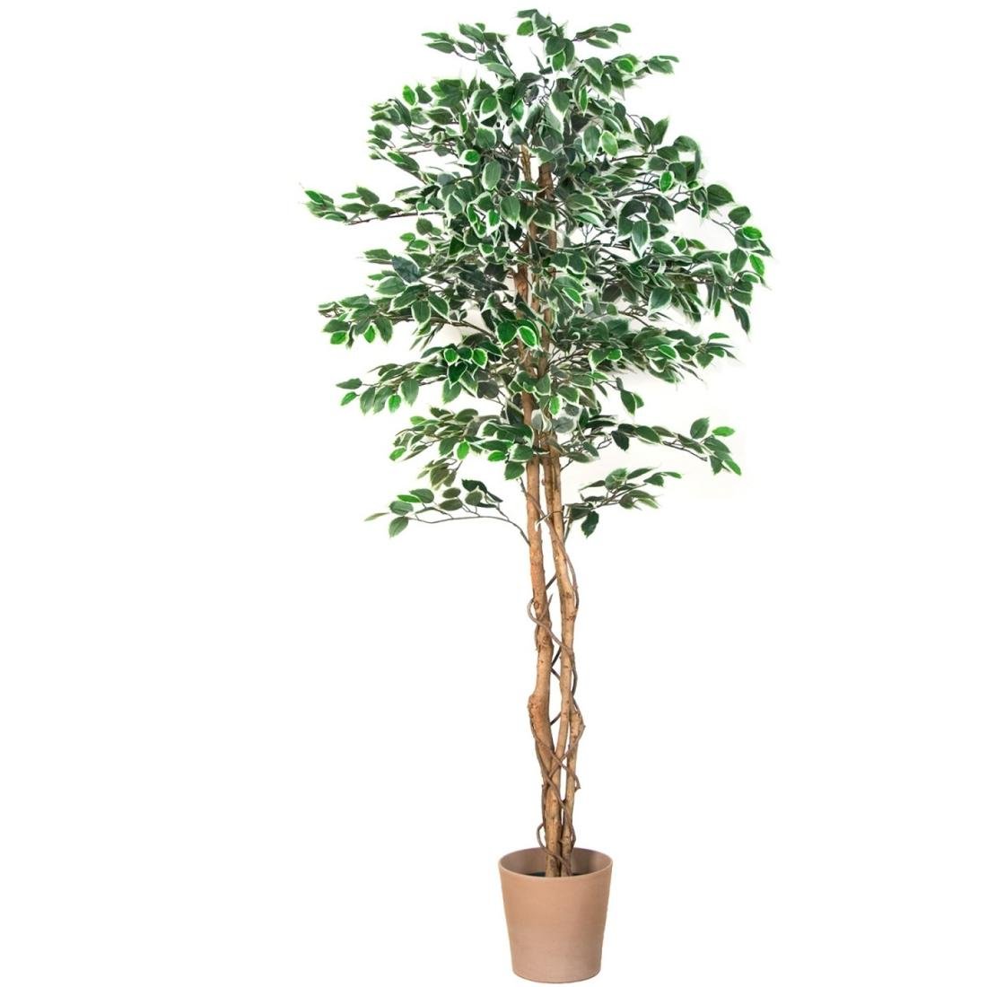 Sztuczne drzewko Fikus, zielone, 170 cm