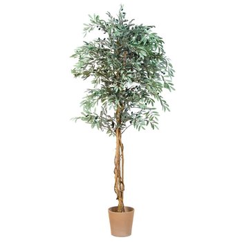 Sztuczne drzewko Oliwne z oliwkami, zielone, 180 cm  - TwójPasaż