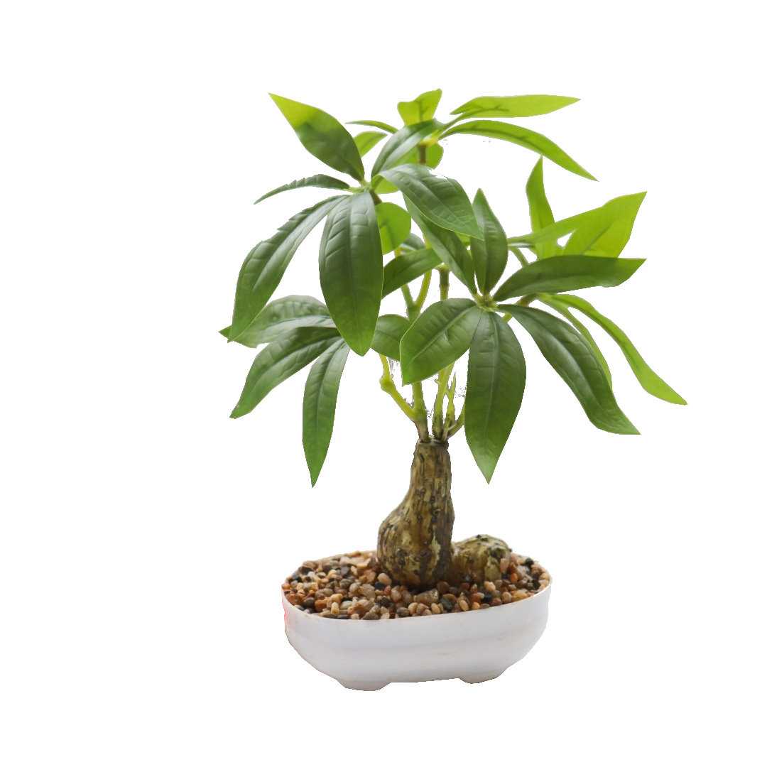 Sztuczne drzewko pienidzy money tree bonsai drzewko szczcia - R70 |  Sklep EMPIK.COM