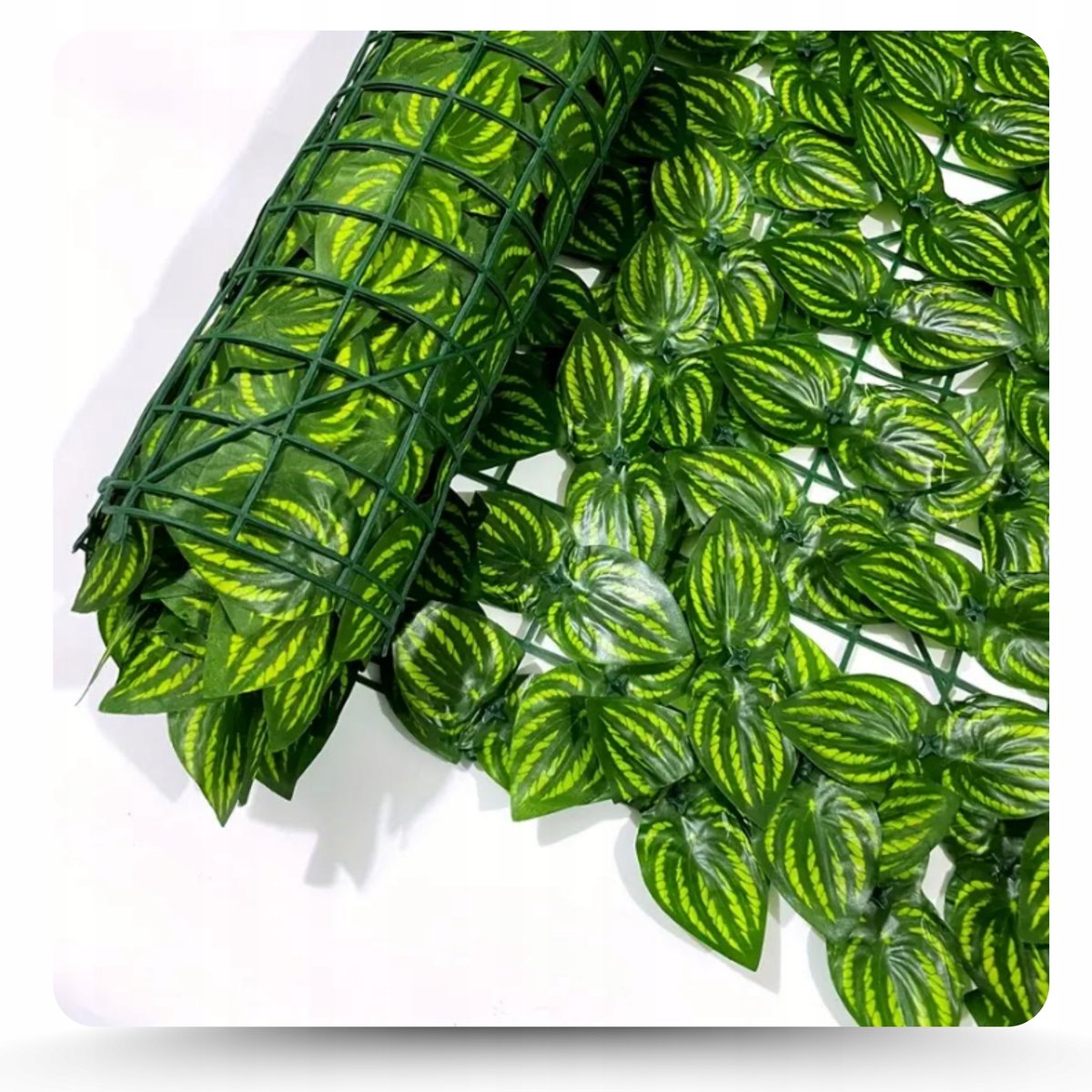 Stampa Trasferimento Acqua Starter Set Pellicola WTD 4 M Larghezza 50 - Foto 7