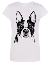 T-Shirt damski nadruk pies Boston Terrier r.M