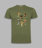 T-shirt męski koszulka męska na prezent GRZYBY POLSKIE Oliwkowy XL
