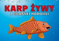 Tablica duża KARP ŻYWY 80X120cm PCV 3mm duża