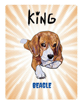 Tabliczka King Beagle Young - 20X28 Cm - Arco Design