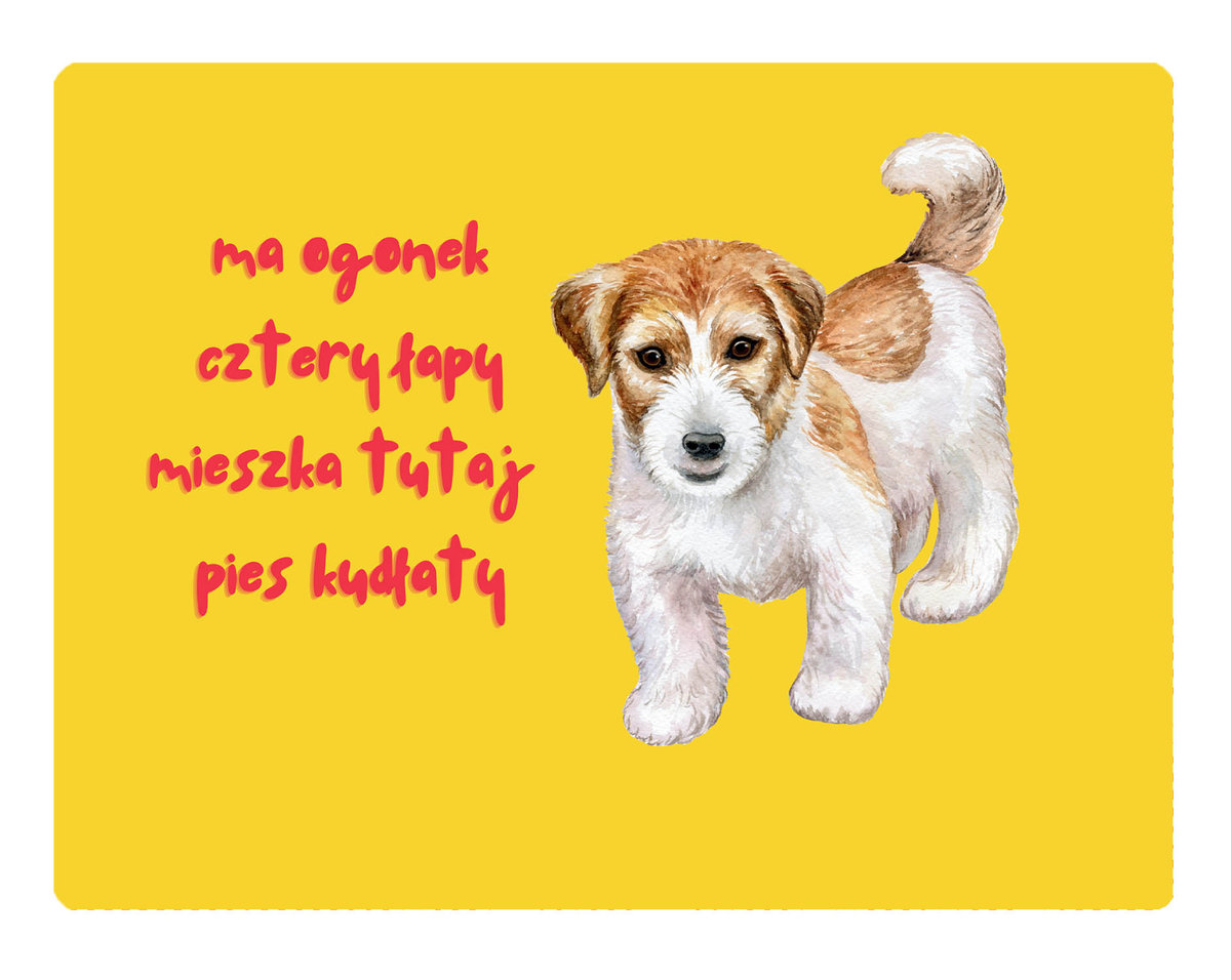 Tabliczka Kudłaty Ciapek 20X28 Cm Bertoni Sklep