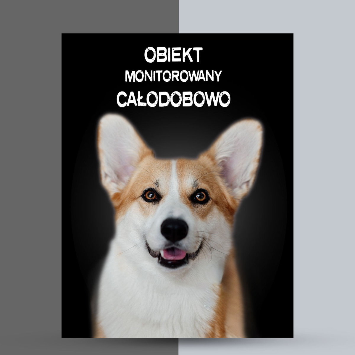 Tabliczka na płot obiekt monitorowany corgi welsh pembroke - Psiejsko ...