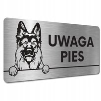TABLICZKA UWAGA ZŁY PIES GROŹNY Owczarek niemiecki
