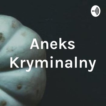 Tajemnica śmierci Raudhy Athif - Aneks kryminalny - podcast - Agnieszka Rojek