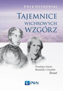 Tajemnice wichrowych wzgórz - Ostrowski Eryk