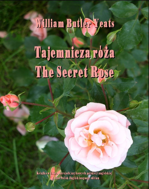 Tajemnicza róża. The Secret Rose Yeats Butler William Czarne botki z różą Rossela Obuwie | Royalfashion.pl