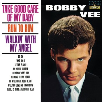 Take Good Care Of My Baby - Bobby Vee