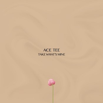 TAKE WHAT'S MINE - Ace Tee