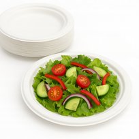 Talerz z trzciny cukrowej EKO 23cm 50szt biały pulpa jednorazowy papierowy