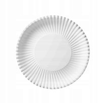 Talerze papierowe jednorazowe 24 cm 100 szt.