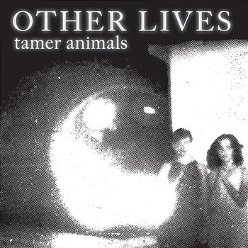 Tamer Animals - Other Lives