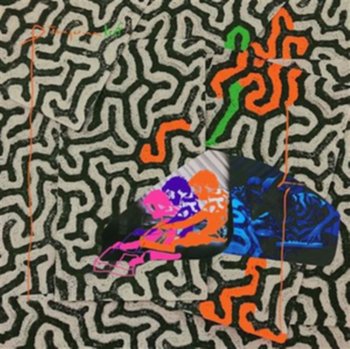 Tangerine Reef, płyta winylowa - Animal Collective