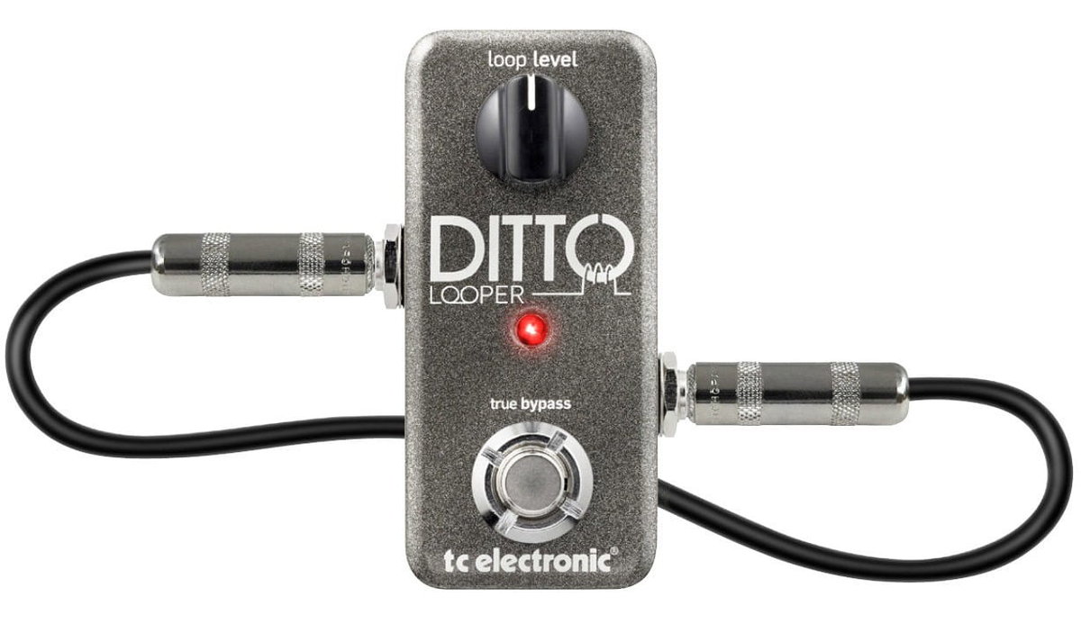 TC Electronic Ditto Looper - Looper - TC Electronic | Muzyka