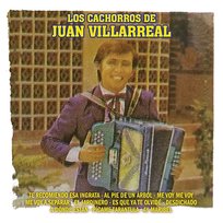Te Recomiendo Esa Ingrata Los Cachorros de Juan Villarreal