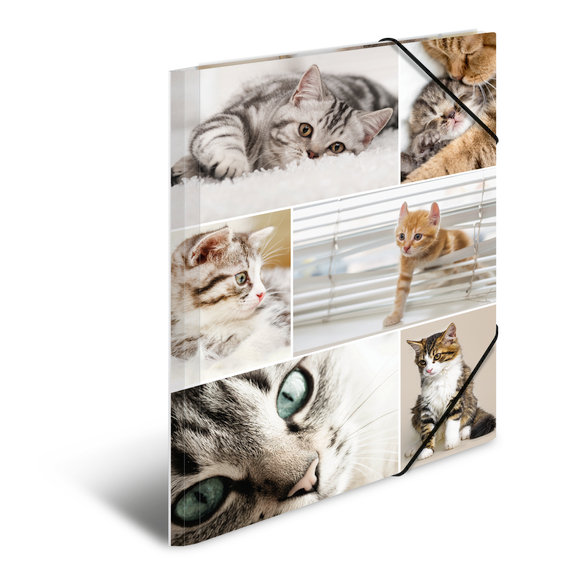 Zdjęcia - Teczka / pudełko Herma Teczka A3 z gumkami, Koty 