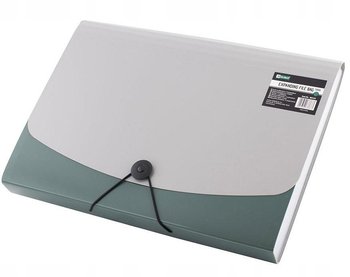 Teczka A4 12 Przegródek Zielona D.Rect, D.Rect - D.RECT