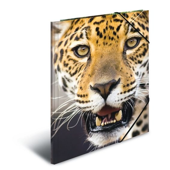 Zdjęcia - Teczka / pudełko Herma Teczka A4 plastikowa z gumkami, Leopard 