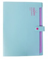 Teczka Na Dokumenty Składana 13 Przegródek Biwuar Zielona