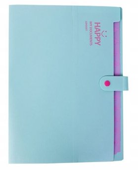 Teczka Na Dokumenty Składana 13 Przegródek Biwuar Zielona