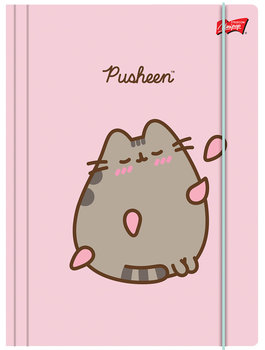 Teczka z gumką A4 St.Majewski Pusheen Pink kot - Inna marka