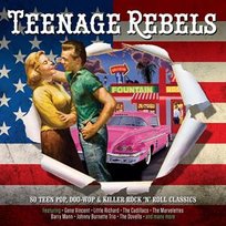 Teenage Rebels Various Artists