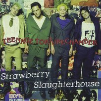 Teenage Torturechamber Strawberry Slaughterhouse