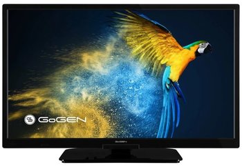 Telewizor GOGRN TVH24M606STWEB, LED, 24”, HD Ready, USB, HDMI, HDR, Wi-Fi, SmartTV - Gogen