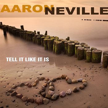Tell It Like It Is - Aaron Neville