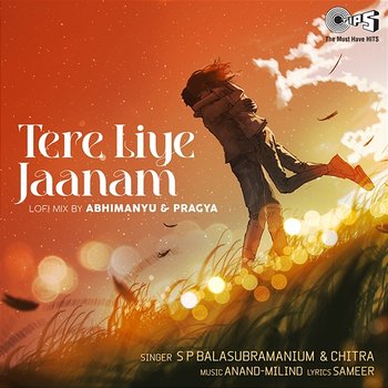 Tere Liye Jaanam - S. P. Balasubrahmanyam & K. S. Chithra