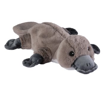 Termofor, Dziobak, Warmies - Intelex Group