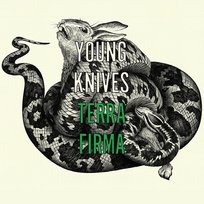 Terra Firma The Young Knives