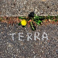 Terra Eugenio In Via Di Gioia