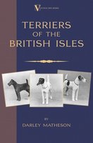 Terriers - An Illustrated Guide (a Vintage Dog Books Breed Classic) Matheson Darley