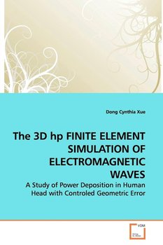 The 3D hp FINITE ELEMENT SIMULATION OF  ELECTROMAGNETIC WAVES - Xue Dong Cynthia