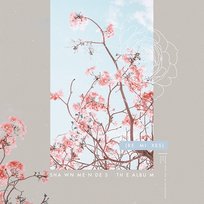 The Album Shawn Mendes