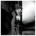 The Answer UNKLE