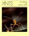 The Ants - Holldobler Bert, Wilson Edward O.