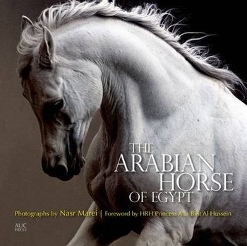 The Arabian Horse of Egypt - Culbertson Cynthia
