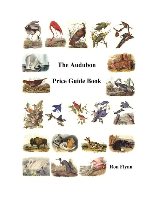 The Audubon Price Guide Book Ron Flynn Książka w Empik