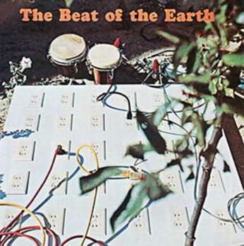 The Beat Of The Earth - The Beat of the Earth