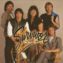 The Best Of Survivor Survivor