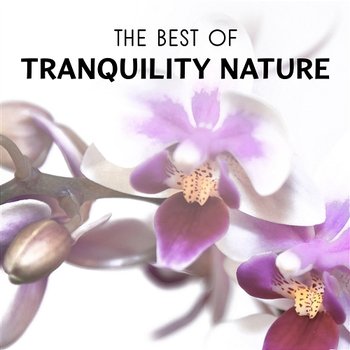 The Best of Tranquility Nature: New Age Sounds & White Noise Collection for Healing Spa Massage, Yoga, Deep Sleep & Total Relaxation - Harmony Nature Sounds Academy