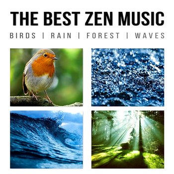 The Best Zen Music: Birds, Rain, Forest, Waves - Music to Help You Relax & Meditate, Sounds of Nature for Yoga, Sleep, Your Mind and Your Soul - Zen Spa Music Experts