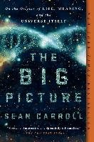 The Big Picture Carroll Sean